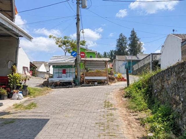 place photo 12