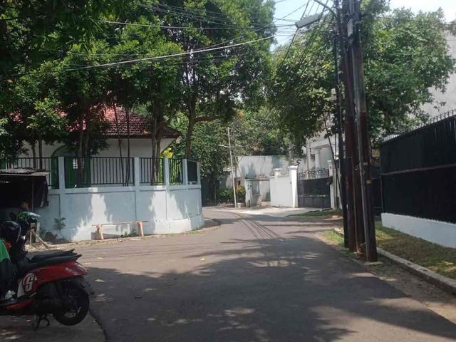 place photo 7