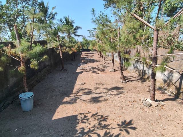 place photo 31