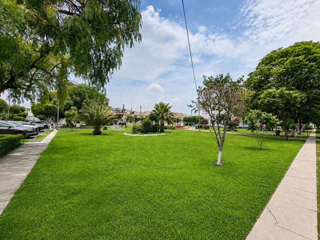 place photo 13