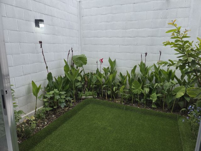 place photo 53