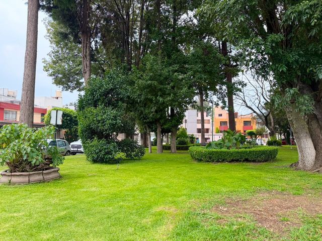 place photo 21