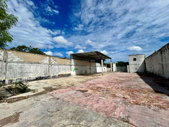 place photo 12