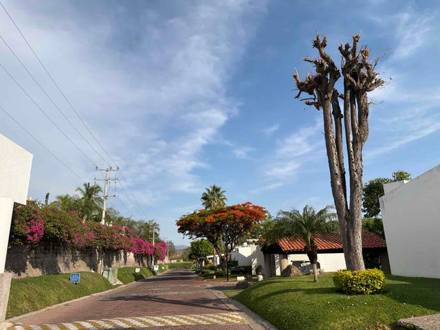 place photo 30