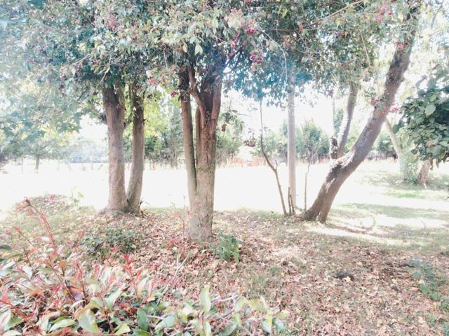 place photo 51