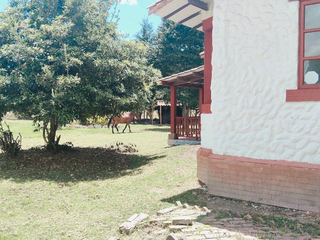 place photo 37