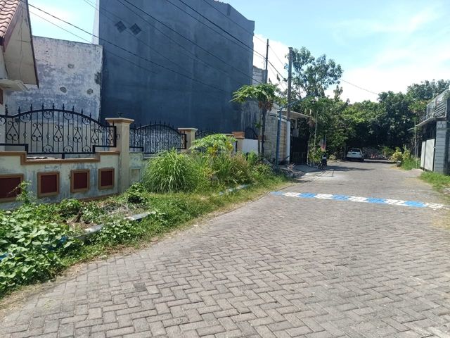 place photo 5
