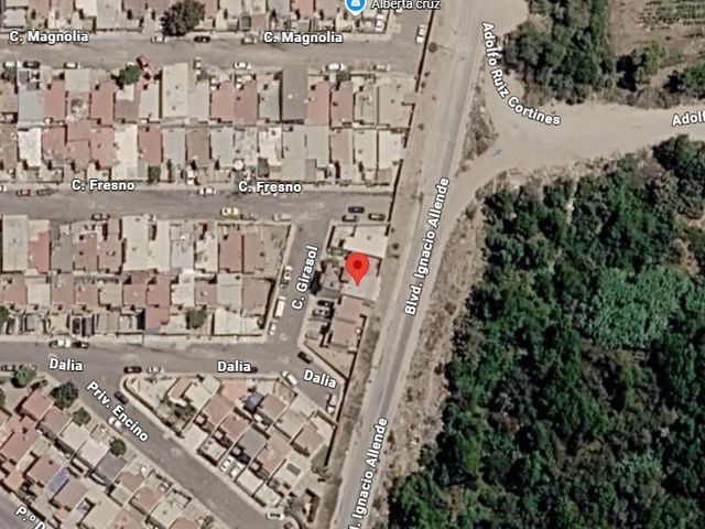 place photo 5