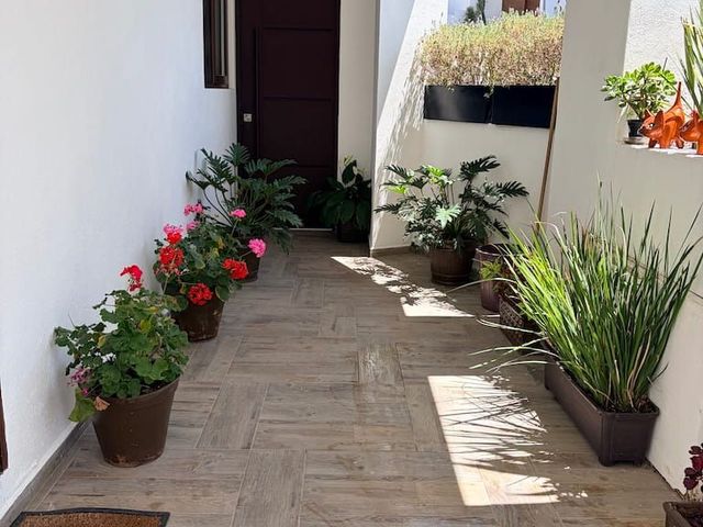 place photo 30