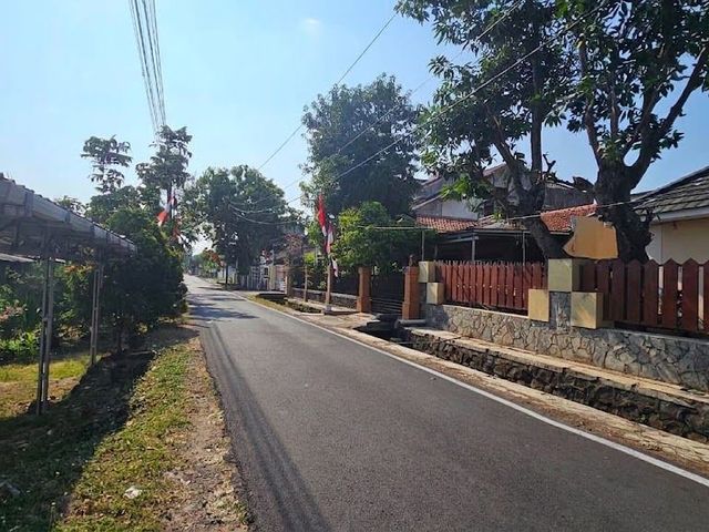 place photo 17