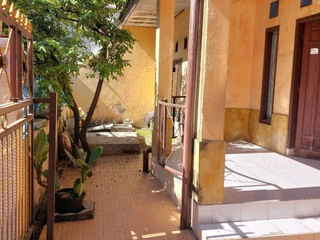 place photo 16