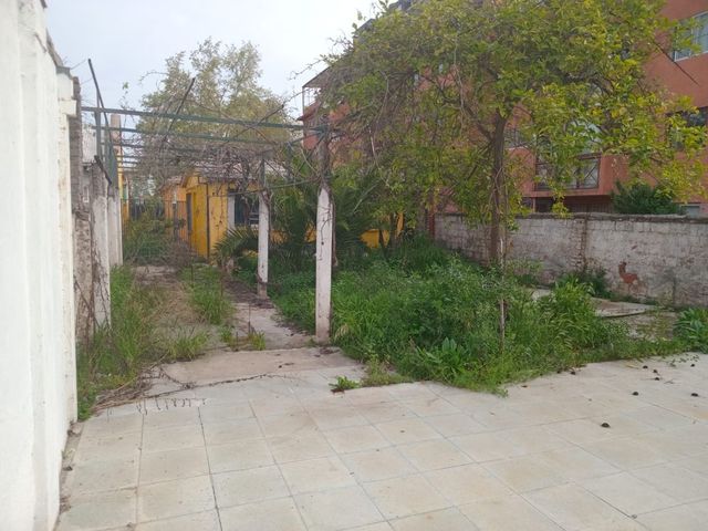 place photo 28