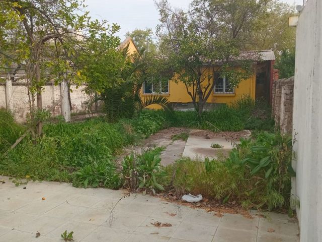 place photo 29