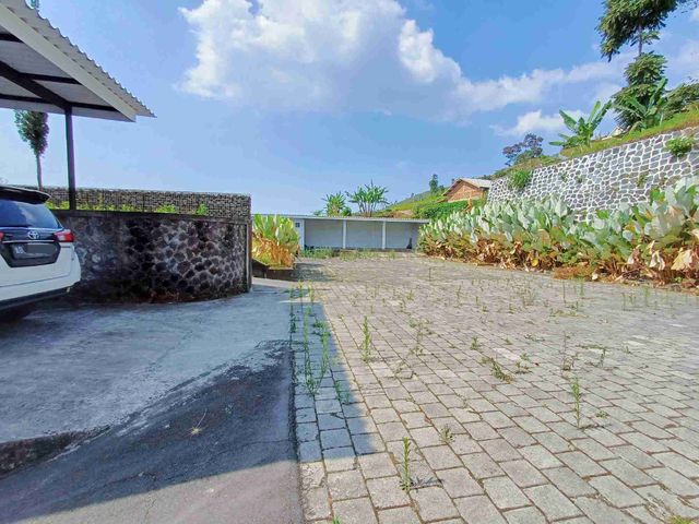 place photo 36