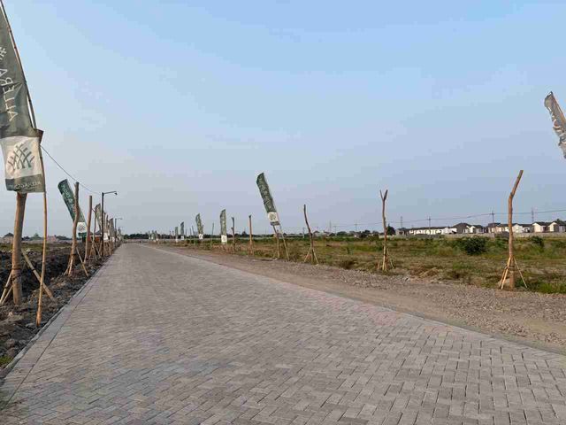 place photo 35