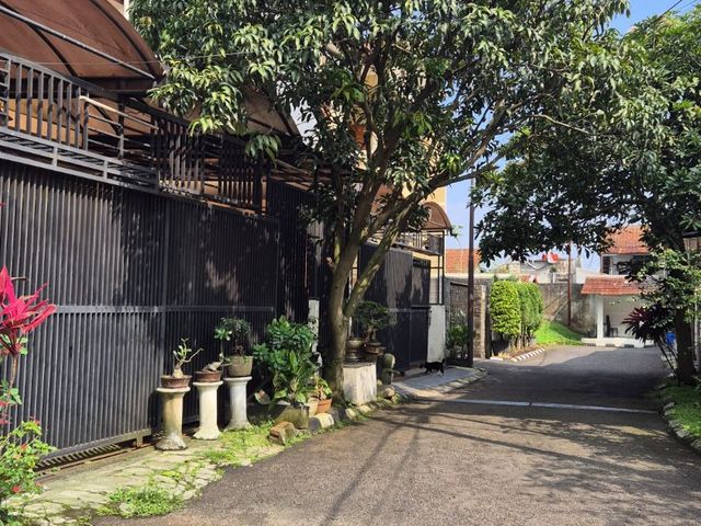 place photo 28