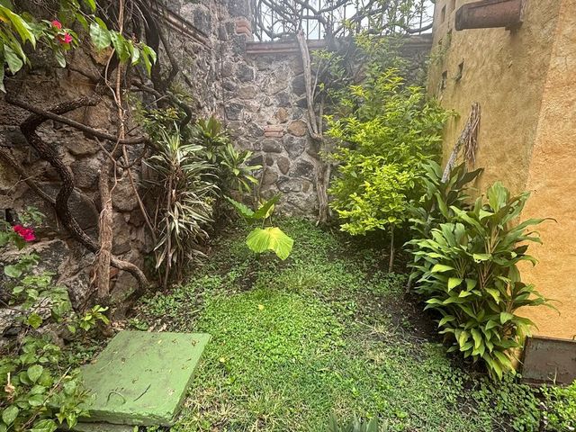 place photo 41