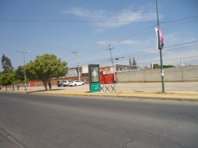 place photo 19