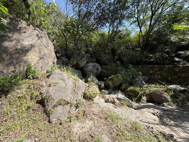 place photo 58