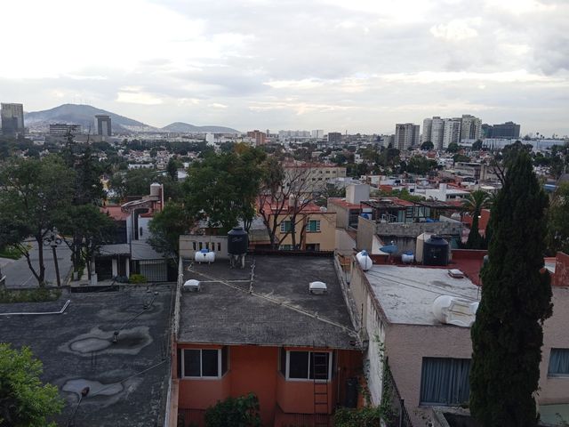 place photo 21