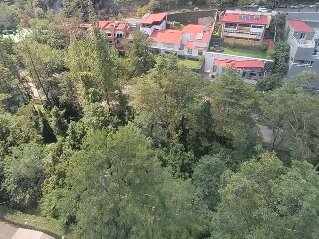 place photo 54