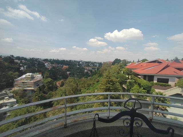 place photo 50