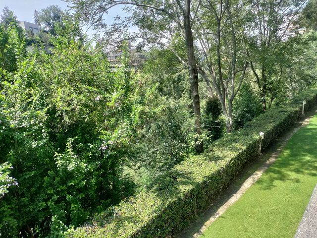 place photo 51