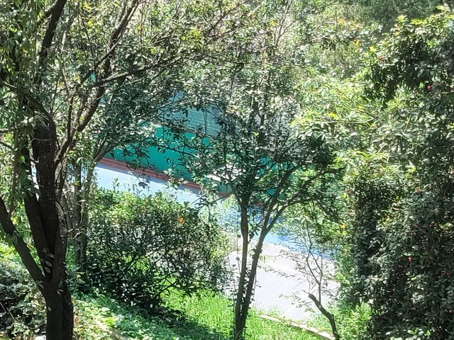 place photo 55