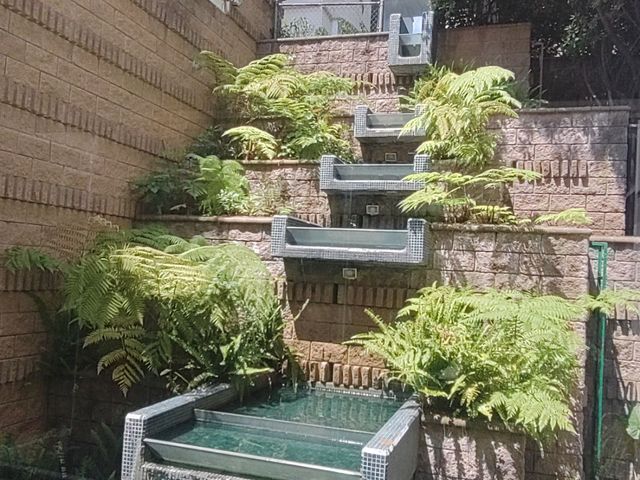 place photo 49