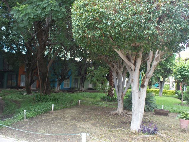 place photo 30