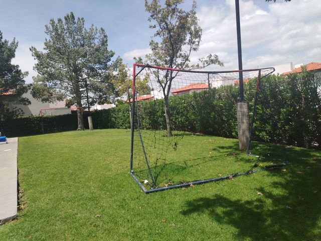 place photo 34