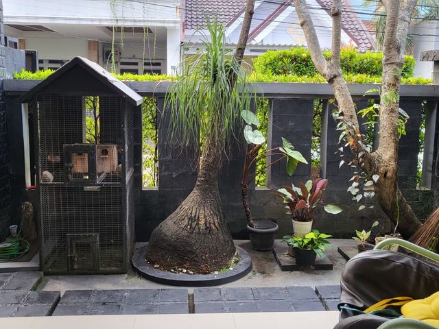 place photo 20