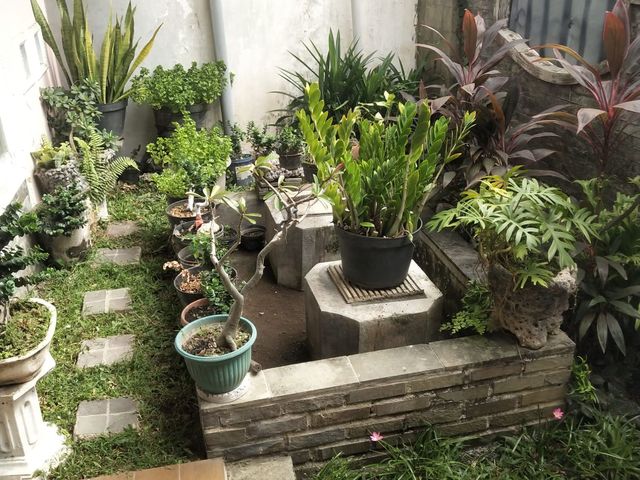 place photo 11