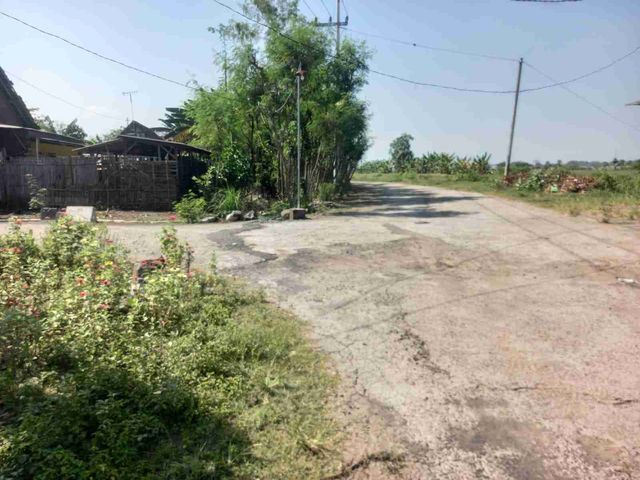 place photo 3