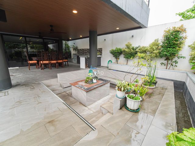 place photo 46