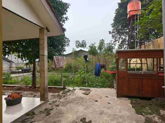 place photo 19