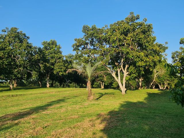 place photo 53