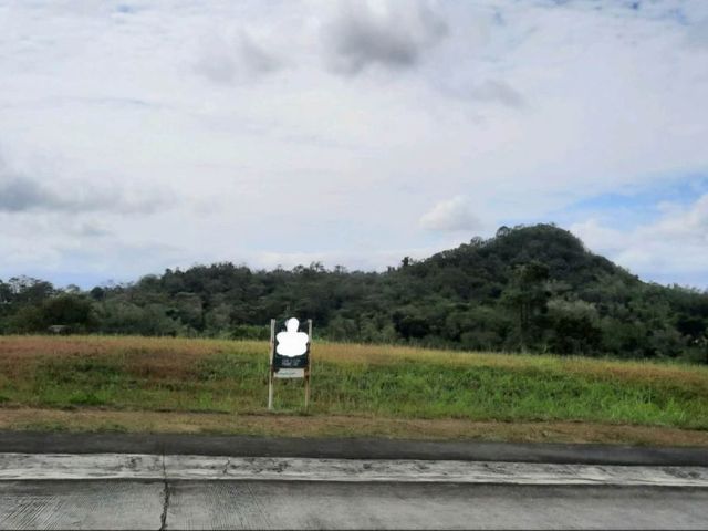 Corner Lot for Sale in Ayala Greenfield Estate Laguna