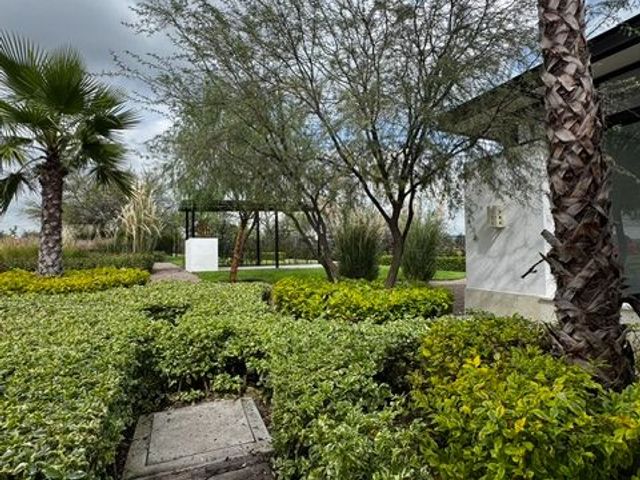 place photo 44