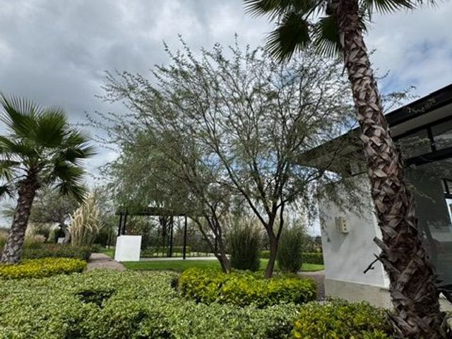 place photo 45