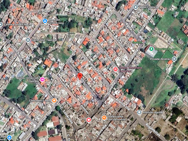 place photo 9