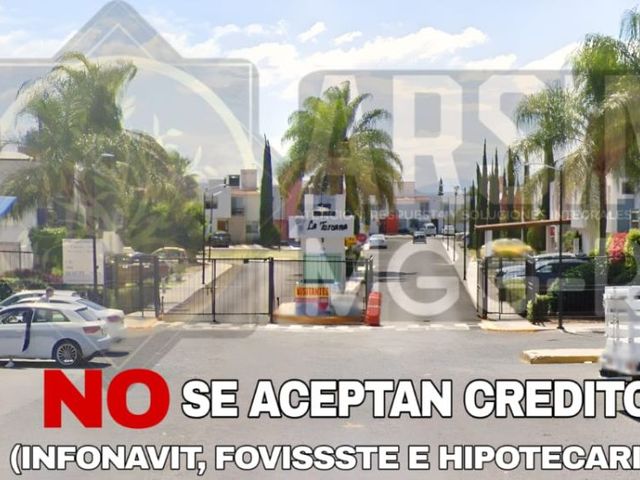 place photo 31