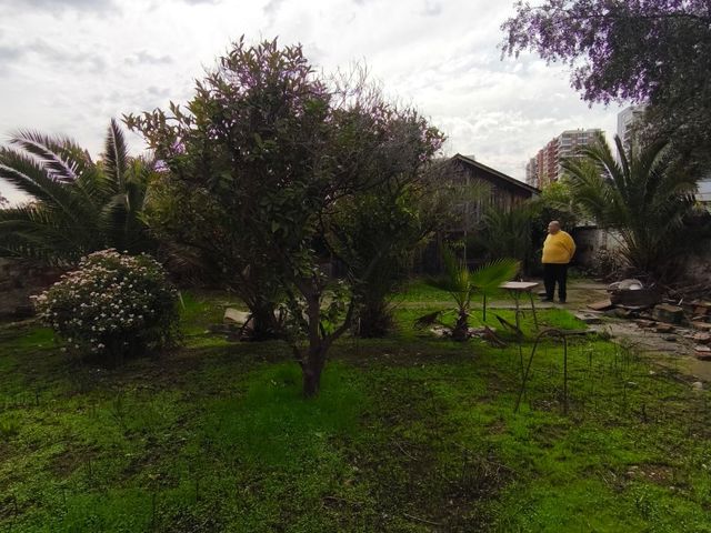 place photo 23