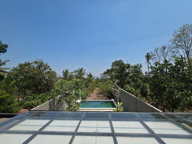 place photo 64