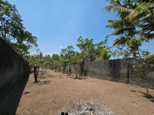 place photo 77