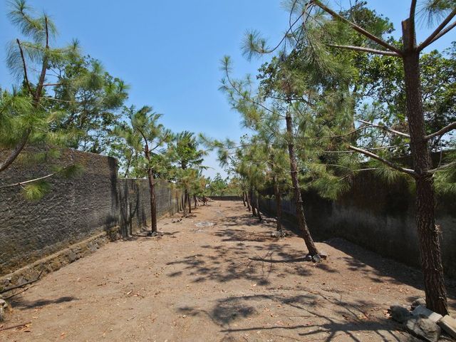 place photo 73