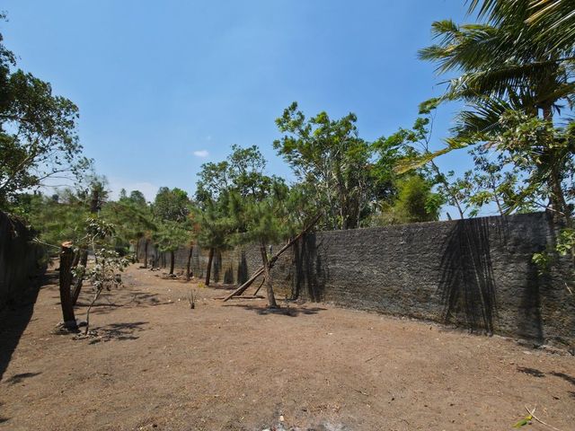 place photo 76