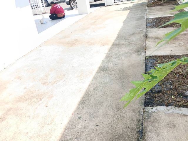 place photo 19