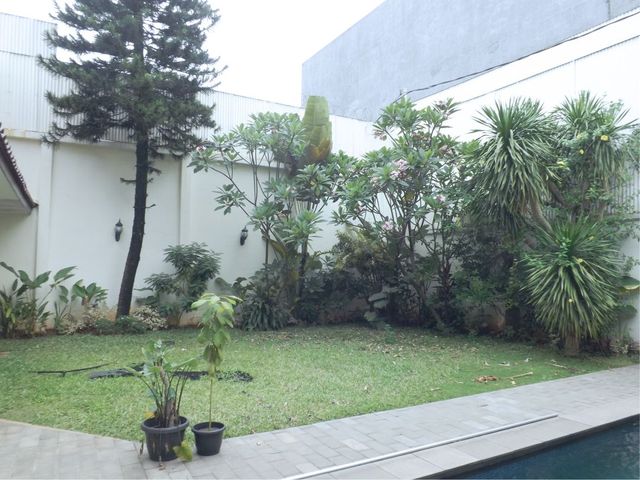 place photo 23