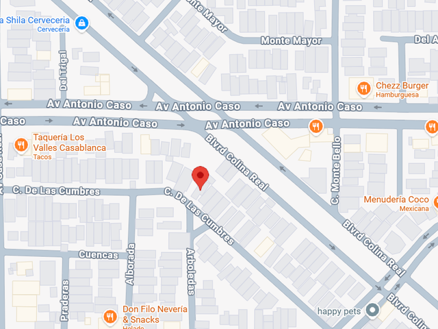 place photo 10